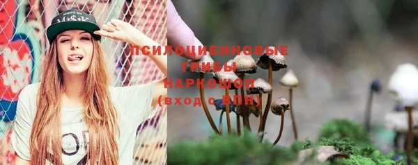 прущие грибы Армянск