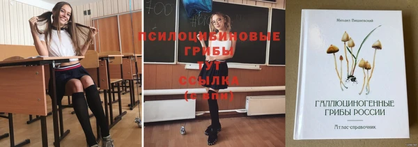 скорость Алексин
