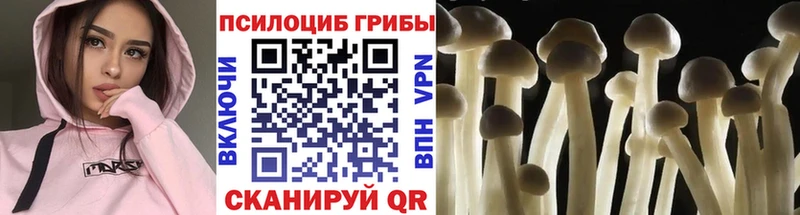 mega рабочий сайт  Асино  Псилоцибиновые грибы Magic Shrooms  что такое  